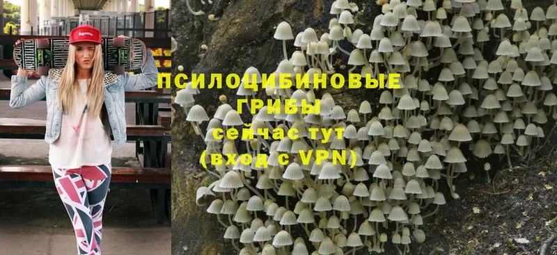 Псилоцибиновые грибы Magic Shrooms  кракен ССЫЛКА  Калязин 